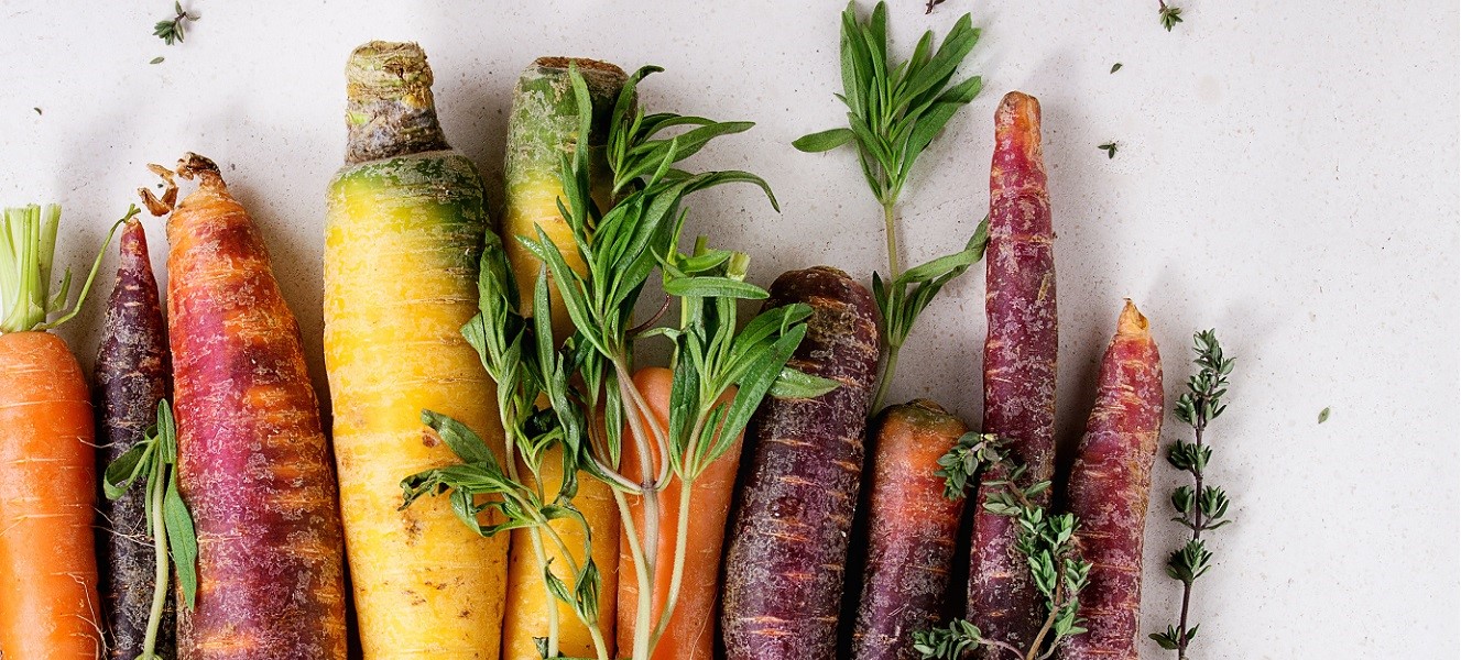 Colorful raw carrots