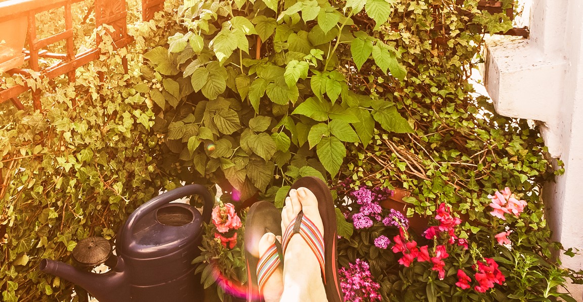 AdobeStock_331236608_1920x600px