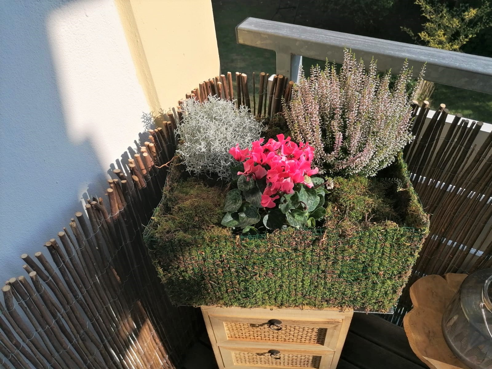 Blumenkasten aus Moos