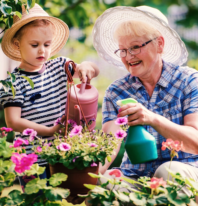 Gardening with kids. Senior woman and her grandchild working in the garden with a plants. Hobbies and leisure, lifestyle, family life