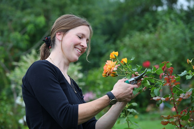 Eine Frau schneidet mit einem breiten Lächeln ihren Rosenstrauch.