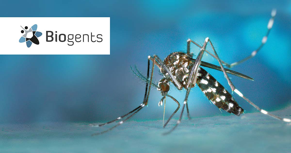 Biogents-Logo mit einer Mücke im Hintergrund.