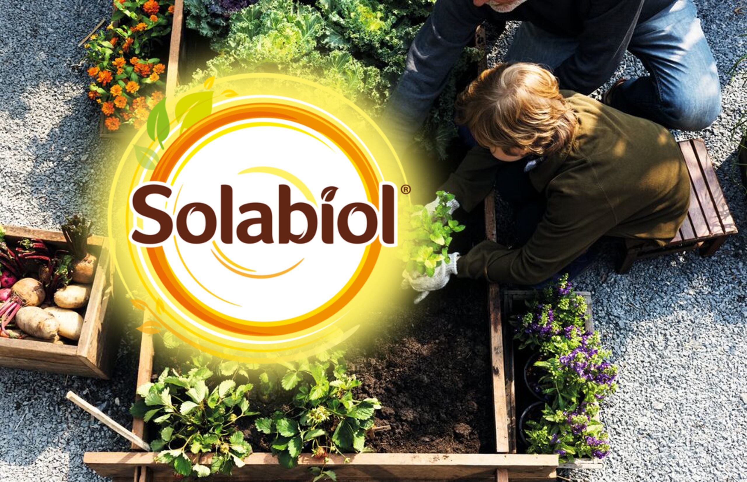 Solabiol-Logo mit einem Kind und einem Erwachsenen im Hintergrund, die in einem Gemüsegarten Salat anpflanzen.