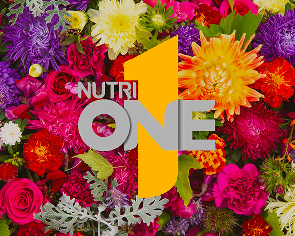 NutriOne-Logo mit einem Blumenbeet im Hintergrund.