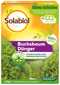 Buchsbaum Dünger