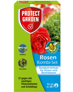 Rosen Kombi-Set