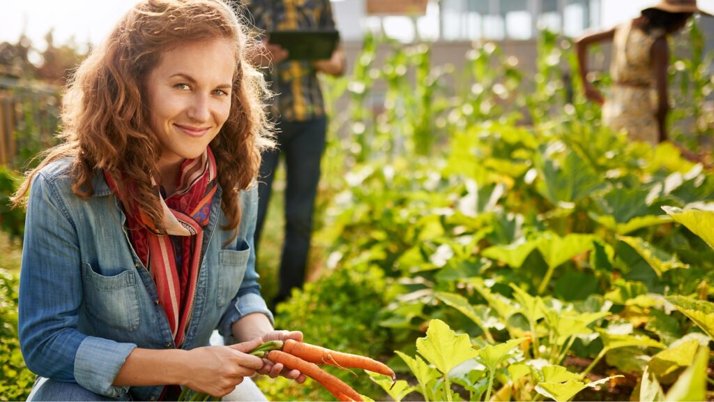 Natürliches Gärtnern für vitale Gemüsepflanzen