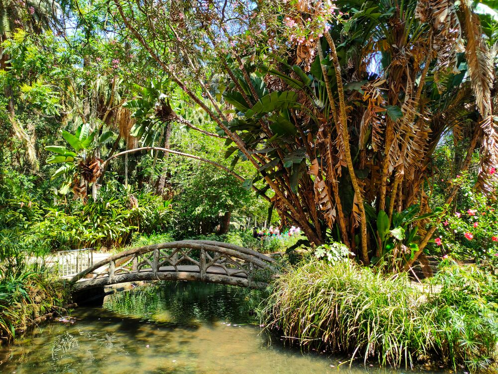 Holzbrücke, die zu den exotischen Pflanzen im Hamma-Garten führt.