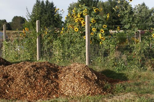 Komposthaufen auf dem Boden eines großen Gartens.