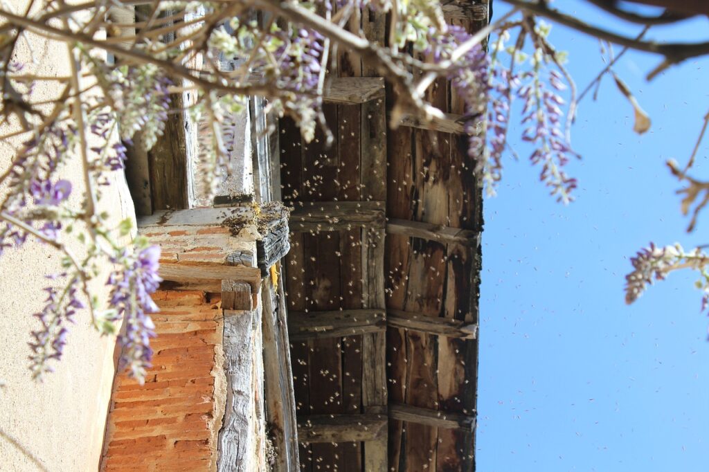 Bienennest unter dem Dach eines Hauses.