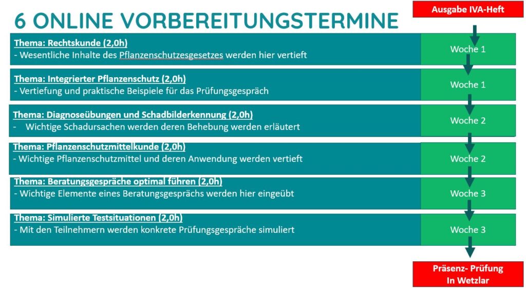 6 online Vorbereitungstermine