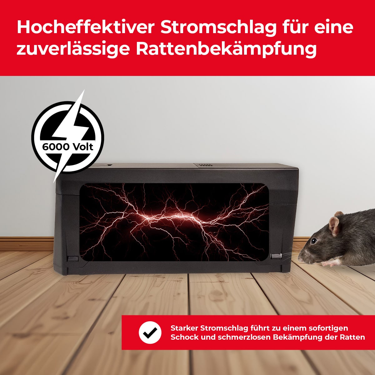 6000 Volt Stromschlag