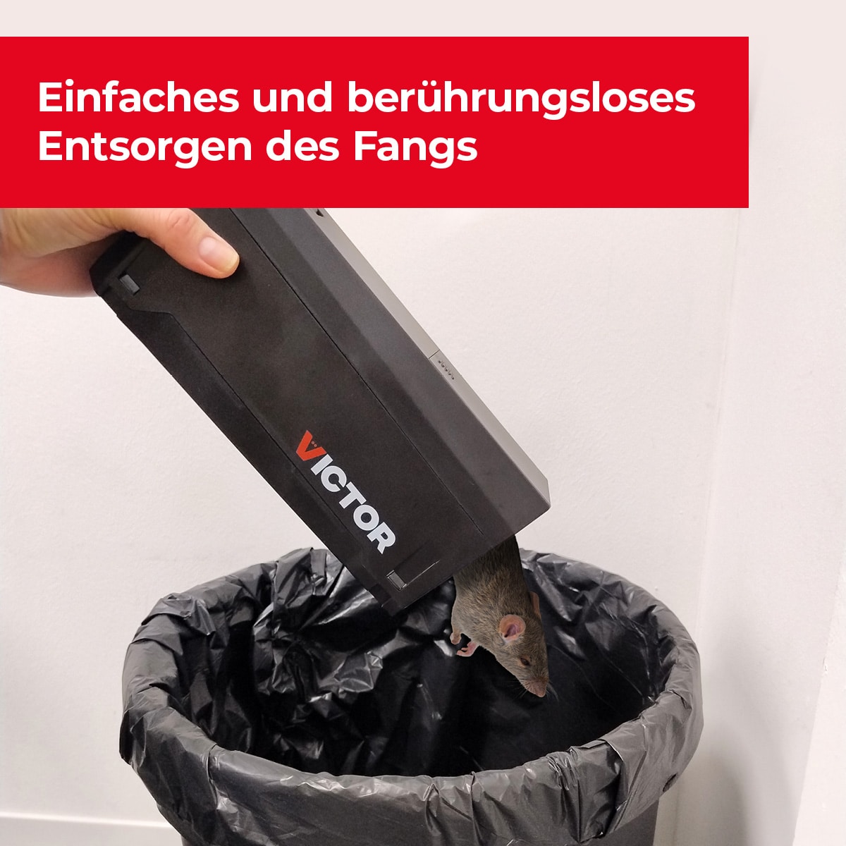 Berührungsloses Entsorgen des Fangs