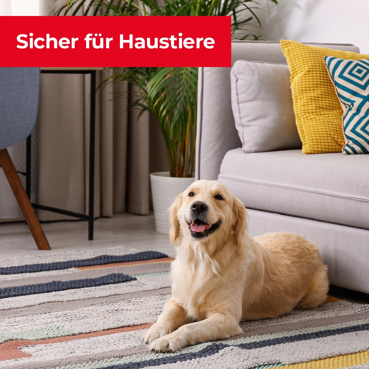 Sicher für Haustiere