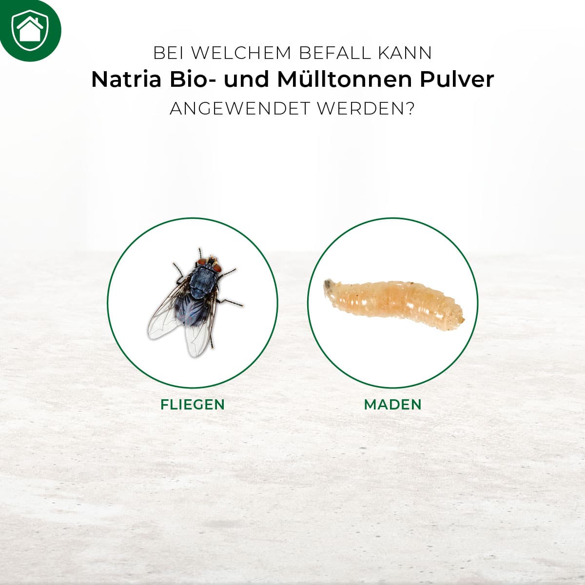 Gegen Fliegen und Larven