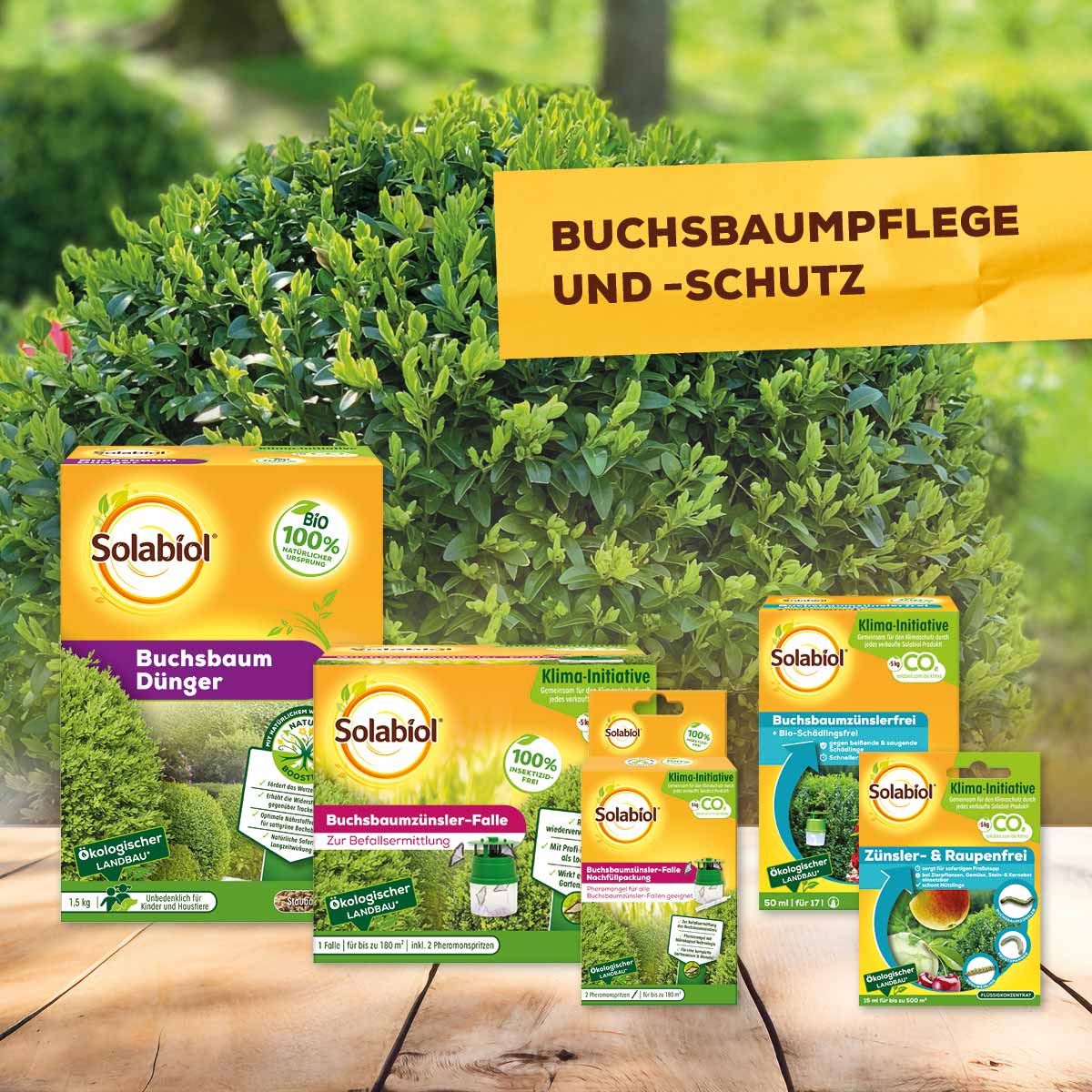 Solabiol-Produktpalette für die Pflege und den Schutz von Buchsbäumen