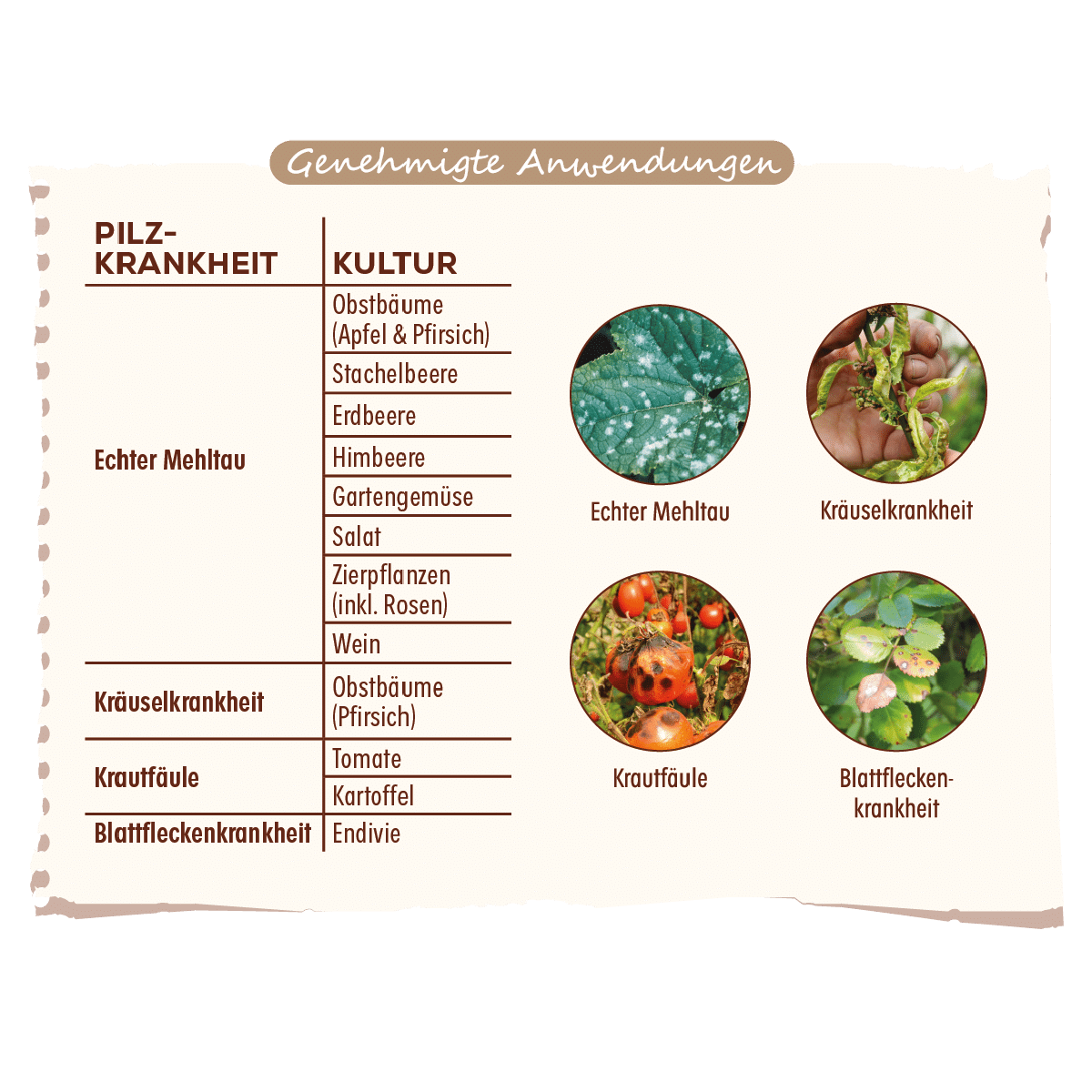 Genehmigte Anwendungen Grundstoff Lecithin