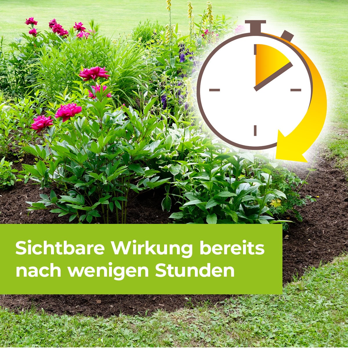 Permaclean Express Unkrautfrei AF - wirksam nach wenigen Stunden