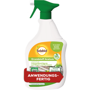 Grundstoff Acetum Spray