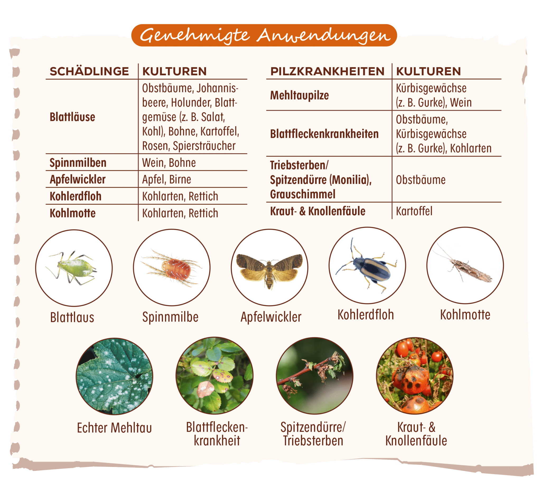 Genehmigte Anwendungen Urtica Konzentrat