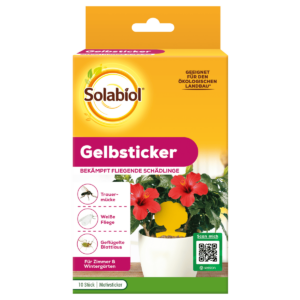 Gelbsticker