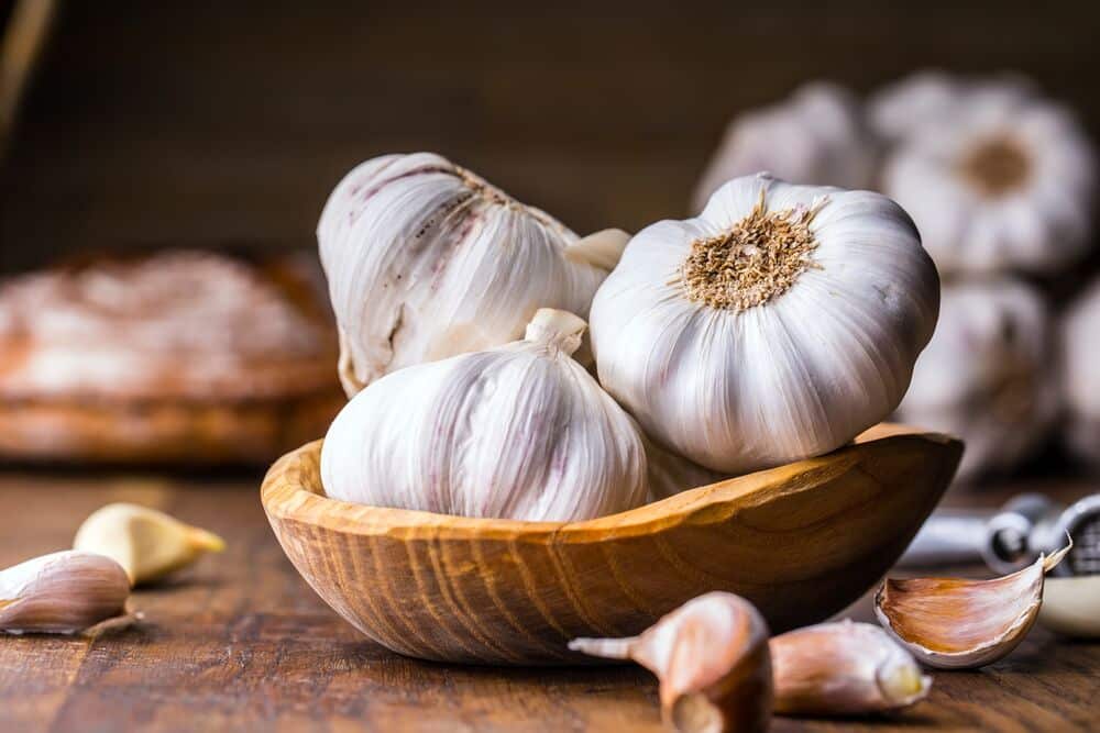 Knoblauch