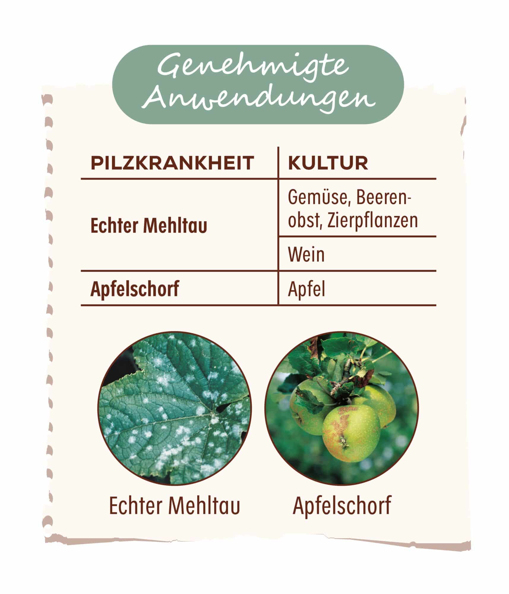 Genehmigte Anwendungen Grundstoff Natriumhydrogencarbonat