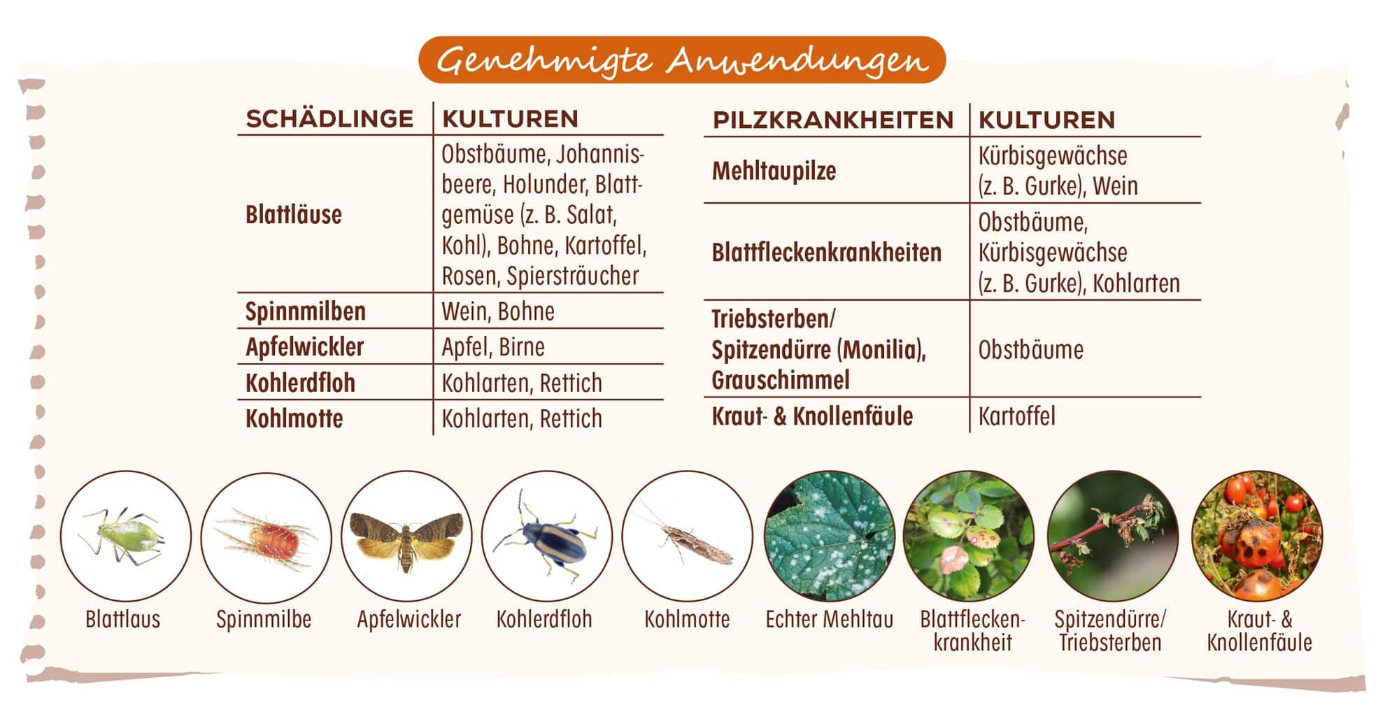 Genehmigte Anwendungen Grundstoff Urtica Spray