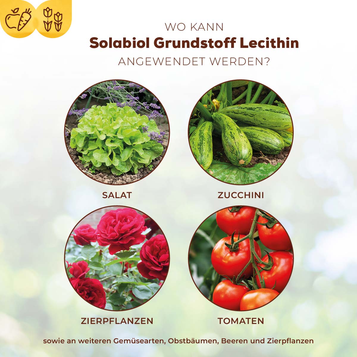 Solabiol Grundstoff Lecithin an welchen Kulturen anwendbar