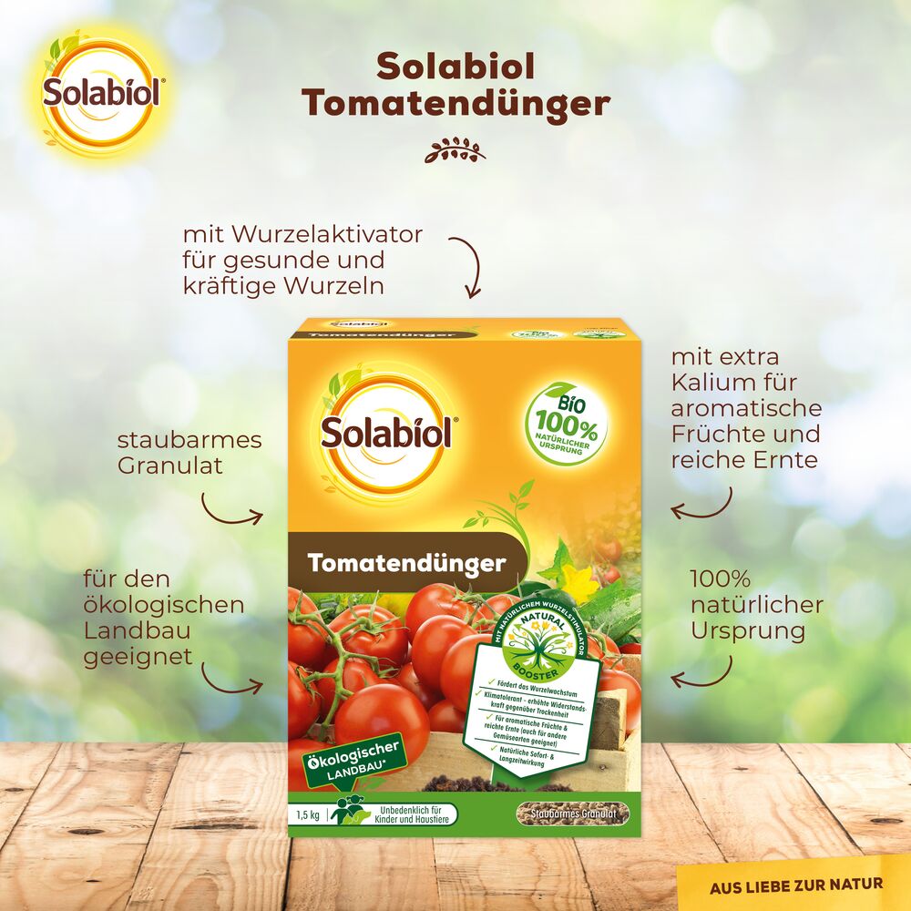 Tomatendnger - Seezon DE