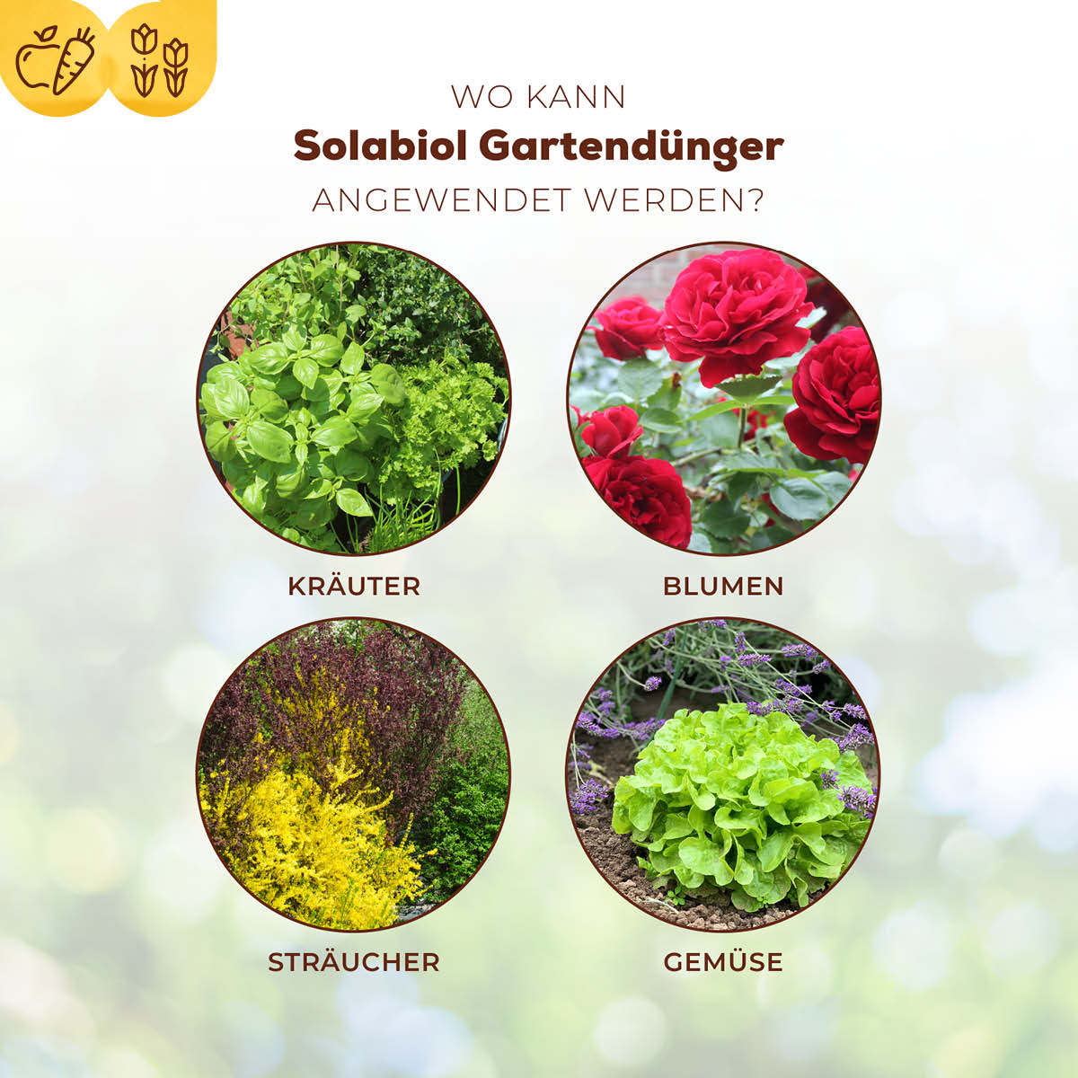 Solabiol Gartendünger an welchen Kulturen anwendbar