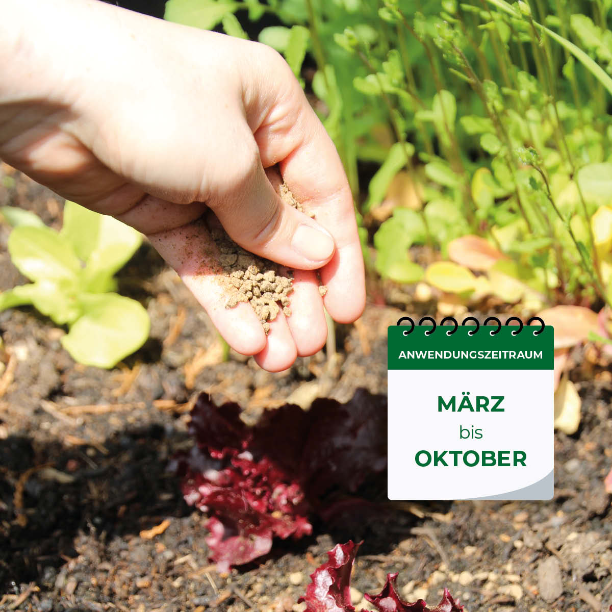 Solabiol Gartendünger wann anwendbar