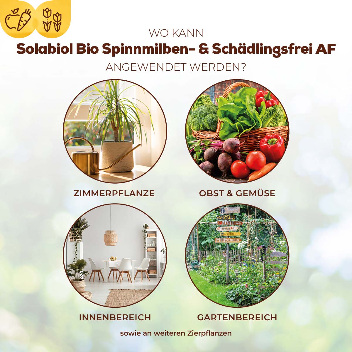 Solabiol Bio Spinnmilben- & Schädlingsfrei AF wo anwendbar