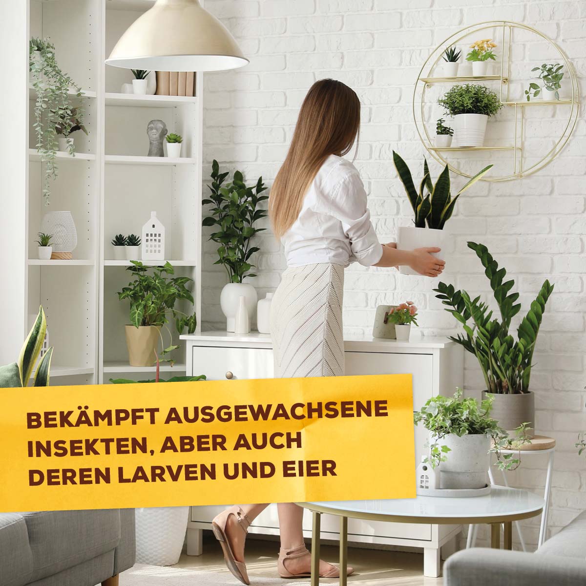 Solabiol Bio Spinnmilben- & Schädlingsfrei AF bekämpft ausgewachsene Insekten