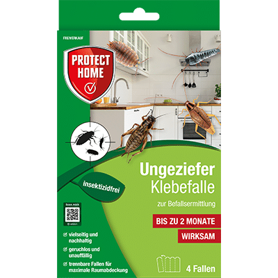 UngezieferKlebefalle