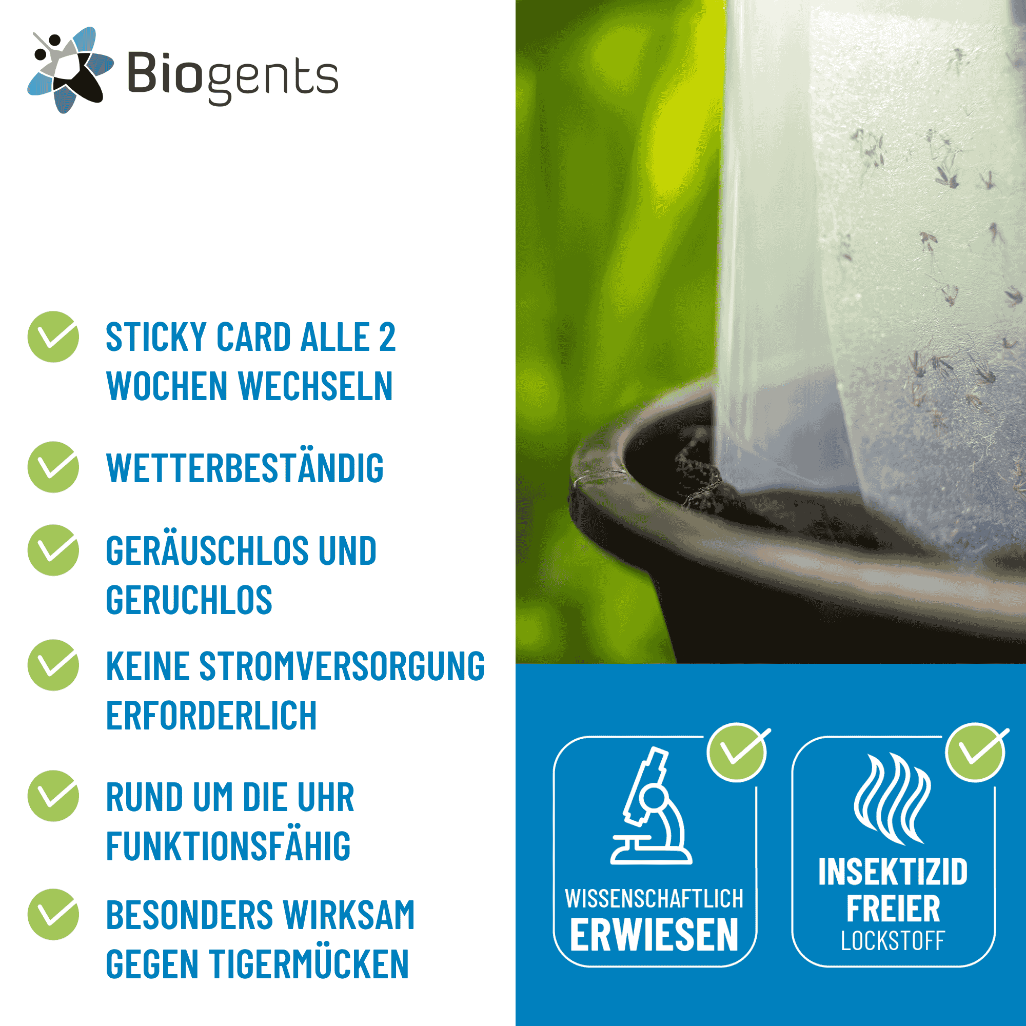 Sticky Card Infografik