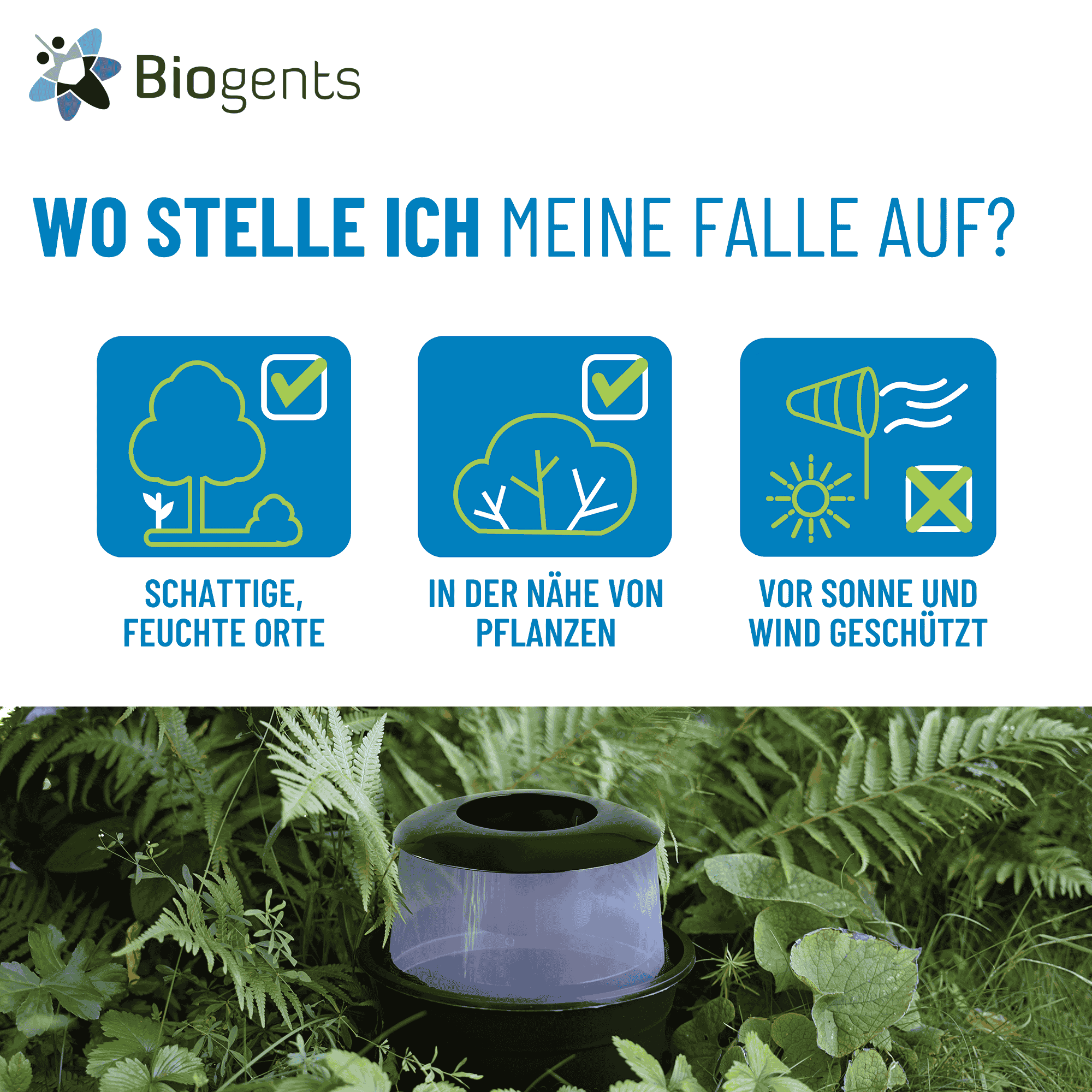 Wo Falle aufstellen