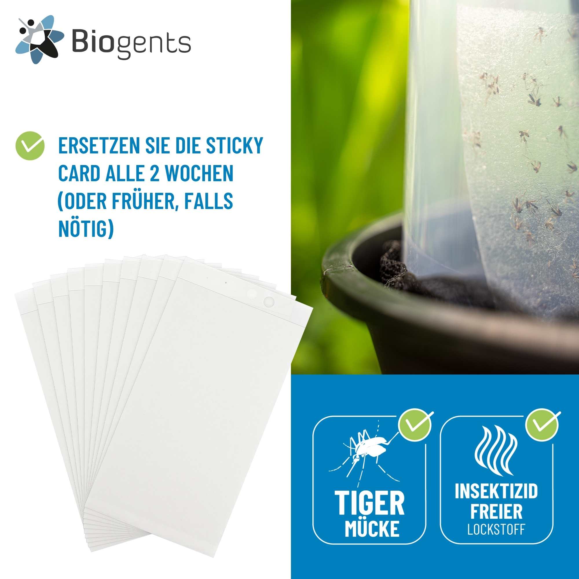 Sticky Card ersetzen