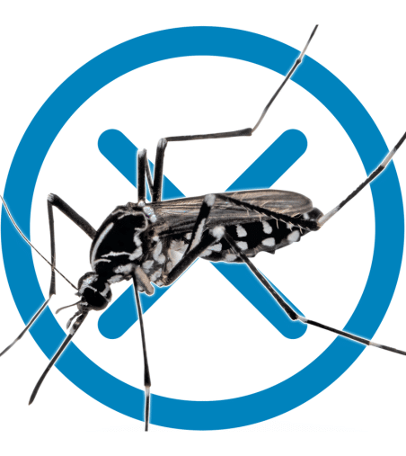 Biogents mücke Icon