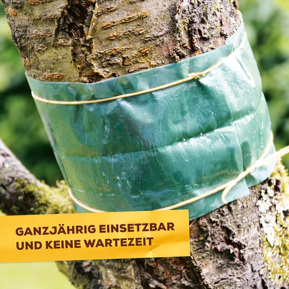 Schädlinge am Baum bekämpfen