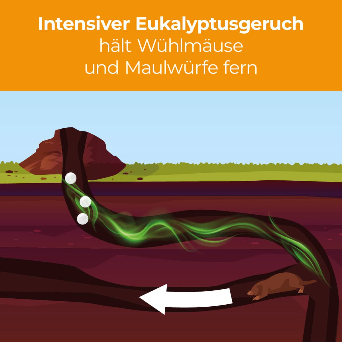 Wühlmausgang wühlmäuse vertreiben